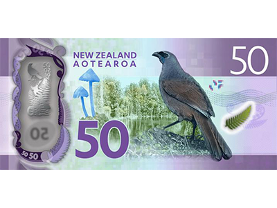 NZ $50 note back