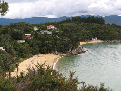 New Zealand baches on a hill