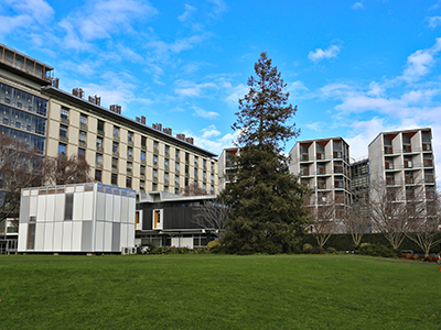 University of Canterbury campus