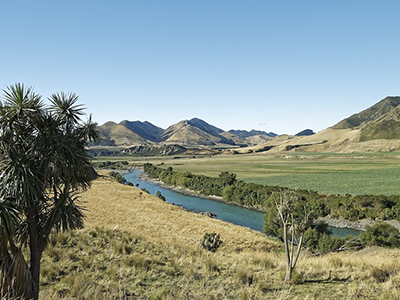 Canterbury Plains