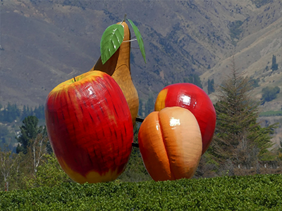 Cromwell Fruit