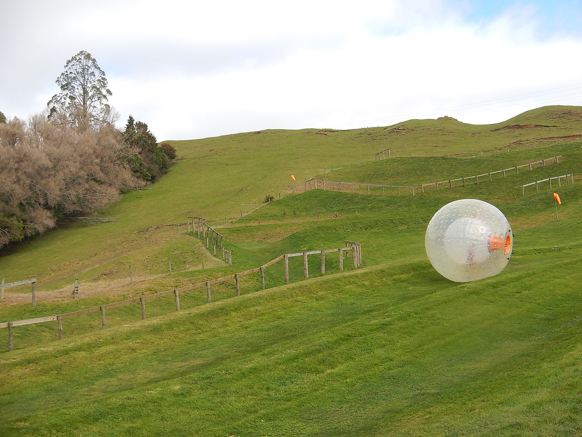 Zorb